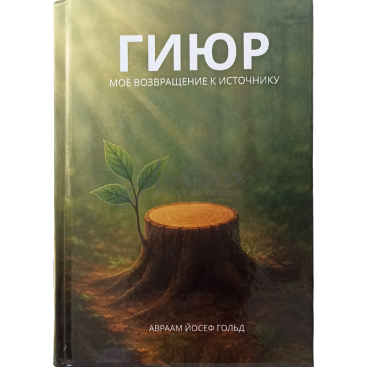 ГИЮР. Мое возвращение к источнику - Авраам Йосеф Гольд