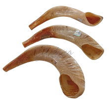 Шофар 3, 35-40 см