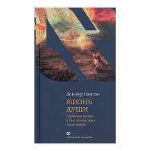 Жизнь души. Еврейское учение о том, что нас ждет после смерти - Д.-Б. Пинсон