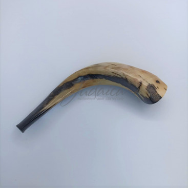 Шофар ХаБаД, размер 3