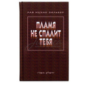 Пламя не спалит тебя - рав Ицках Зильбер