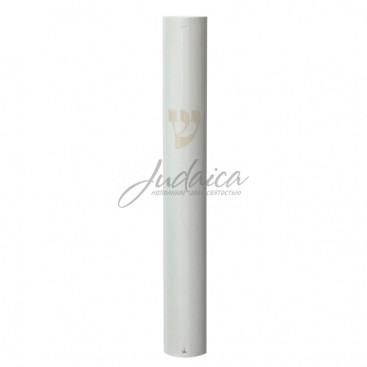 Коробочка для мезузы "Шин" J4590