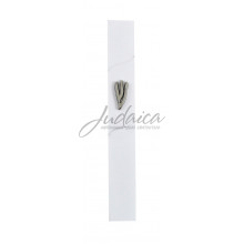 Коробочка для мезузы "Шин" J4563