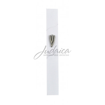 Коробочка для мезузы "Шин" J4563