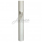 Коробочка для мезузы "Шин" J4554