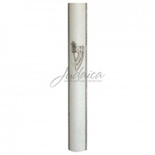 Коробочка для мезузы "Шин" J4554