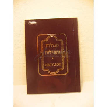 Сегулот дорожный