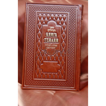 Книга Теилим. Сегулот (кожа)