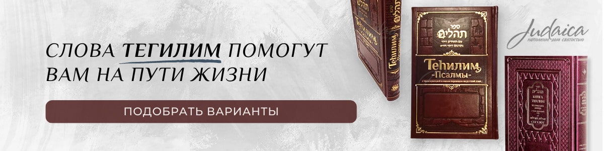 Теилим - книга псалмов царя Давида (Тегилим)